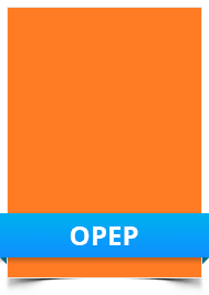 Matt Orange Polyester Permanent Adhesive