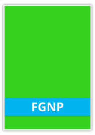 FGNP