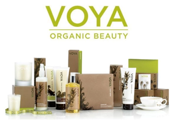 Voya's logo and brand colour scheme