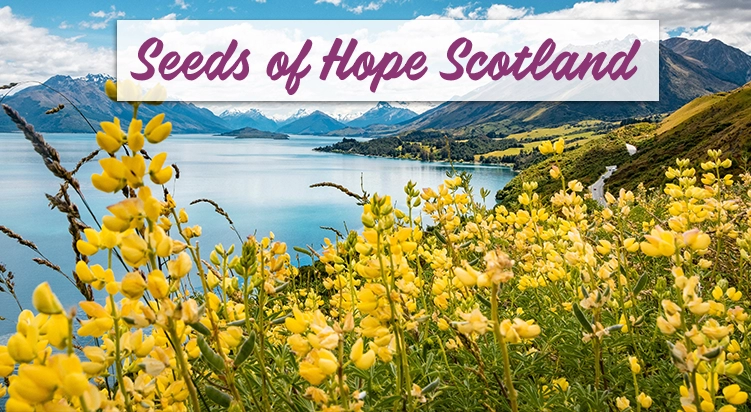 Seeds of Hope Scotland - Aider les communautés Écossaises à se développer