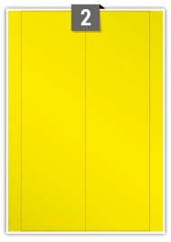 YGP