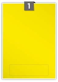 YGP