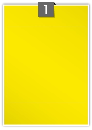 YGP