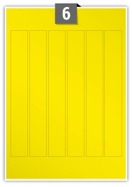 YGP