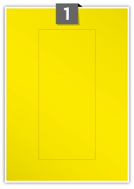 YGP