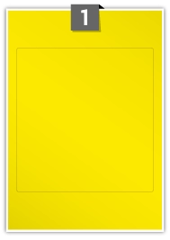 YGP