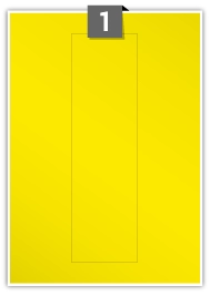 YGP