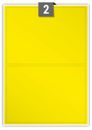 YGP
