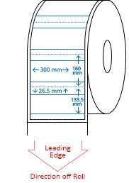 60 mm x 160 mm Roll Labels