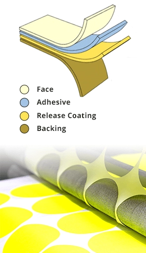 Adhesive Details