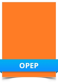 Matt Polyester Orange