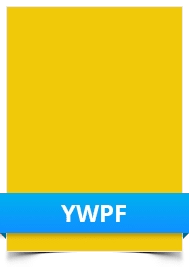 Matt Yellow Removable Adhesive