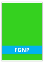 FGNP