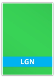 LGN