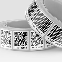 Données séquentielles